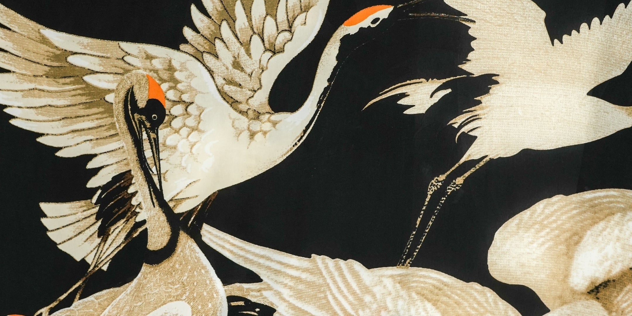 Stork – One Hundred Stars USA