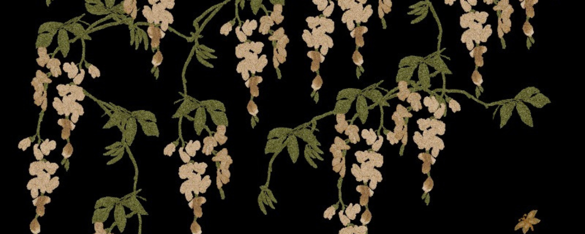 Wisteria