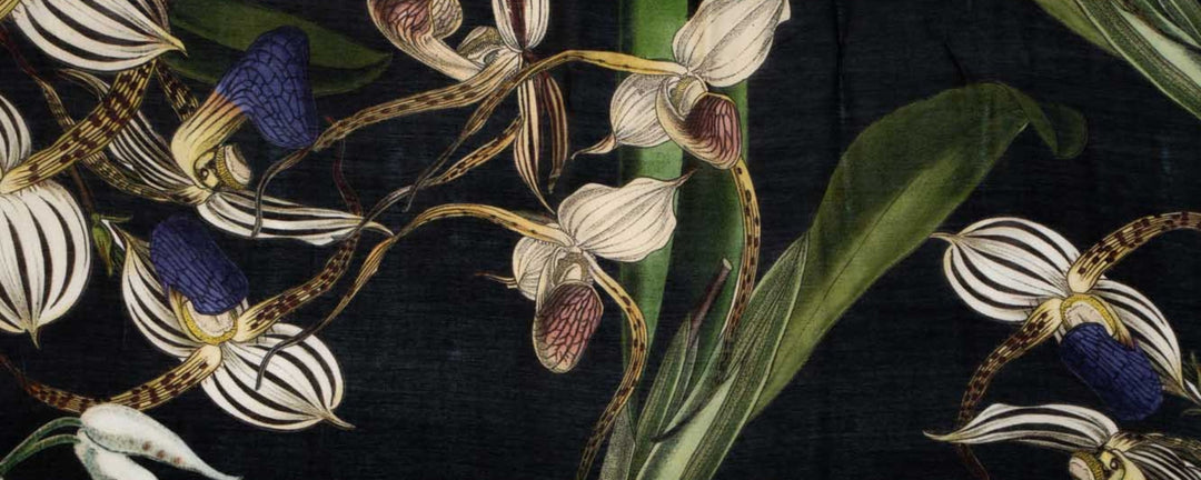 Orchid