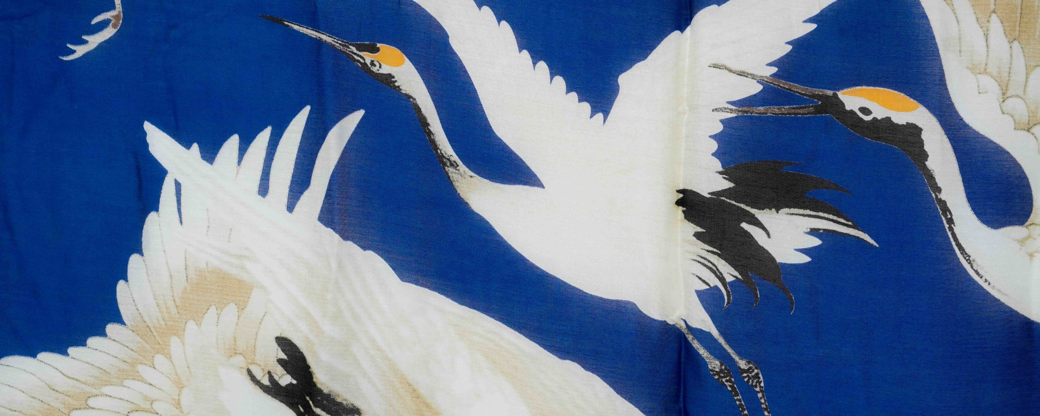 Stork