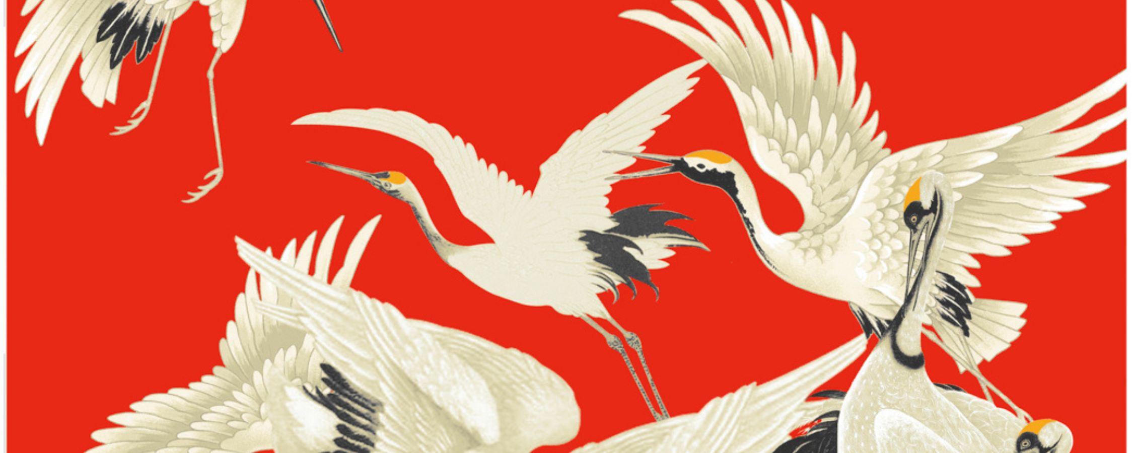 Stork Scarlet