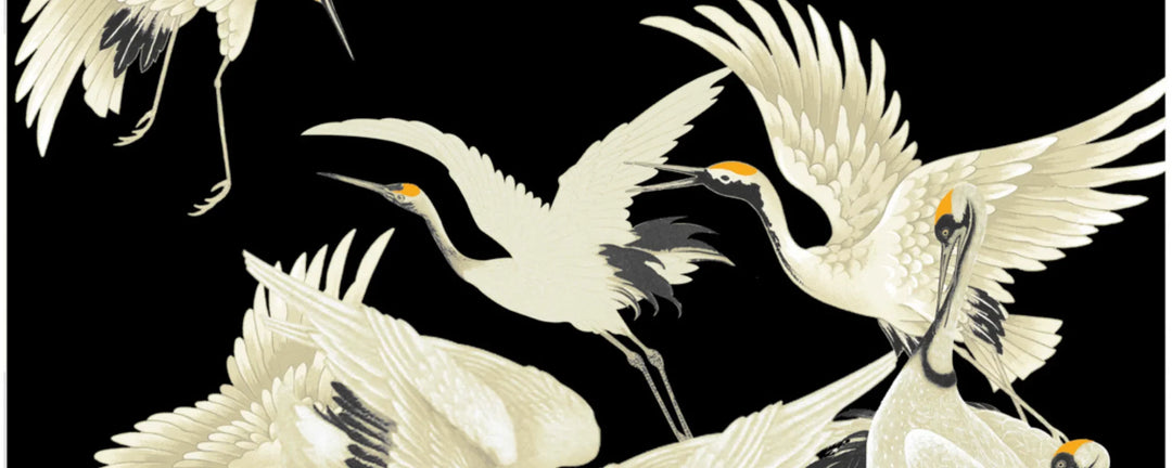Stork Black