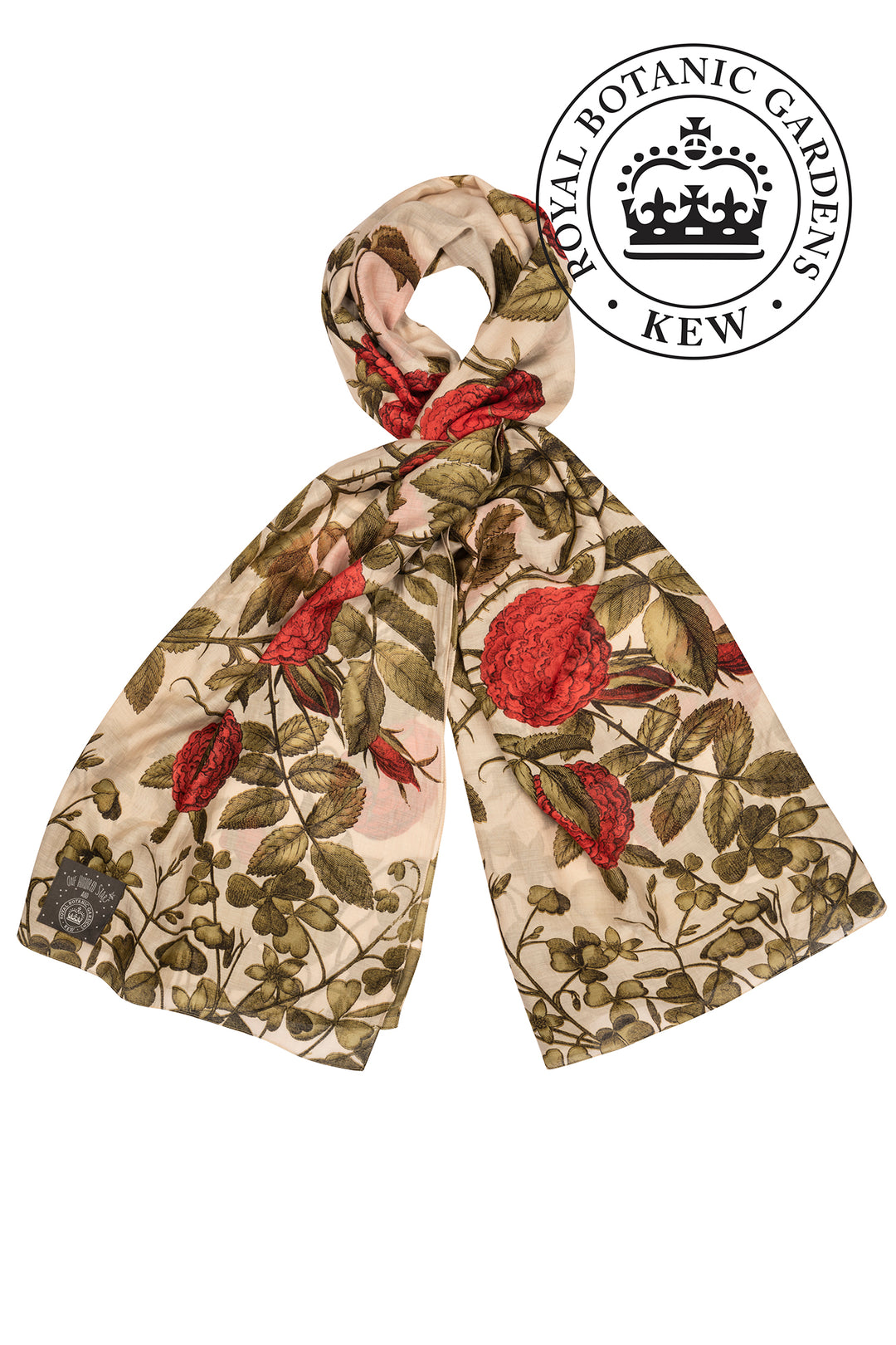 KEW Rosebush Red Scarf One Hundred Stars USA