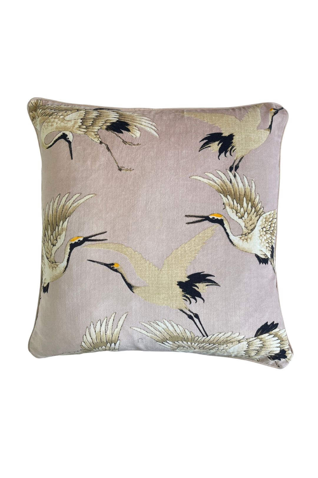 One Hundred Stars Stork Plaster Pink Square Velvet Cushion- These limited edition velvet cushions are 50 x 50cm and can purchased with or without an ethically sourced duck feather inner.